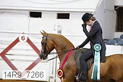 14r9_7266 proof