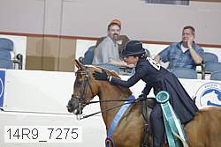 14r9_7275 proof