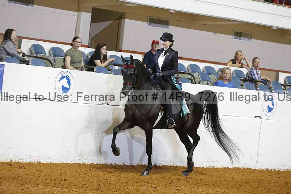 Proof 14r9_7276