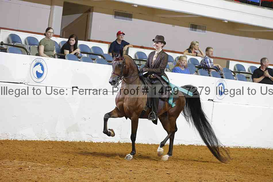 Proof 14r9_7279