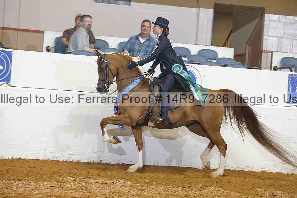 Proof 14r9_7286