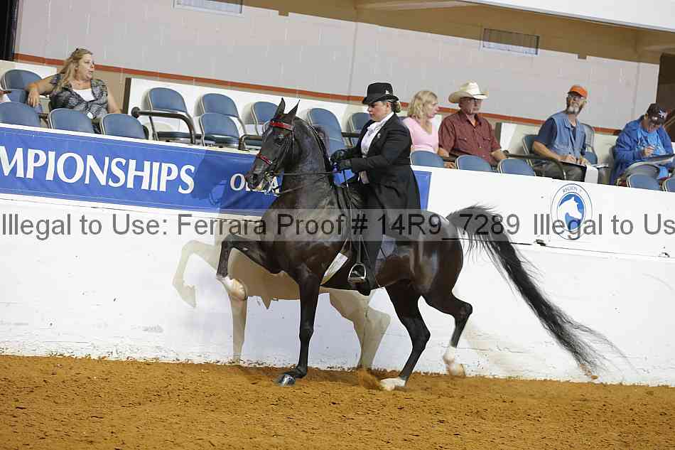 Proof 14r9_7289