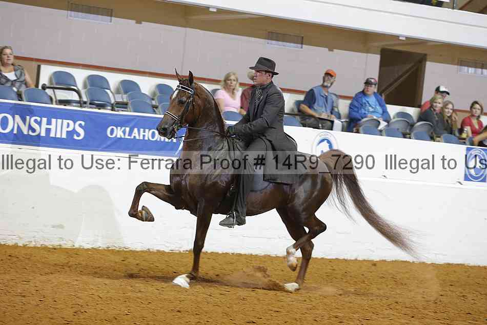 Proof 14r9_7290