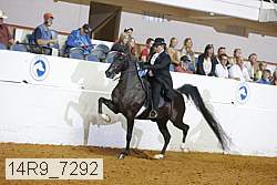 14r9_7292 proof