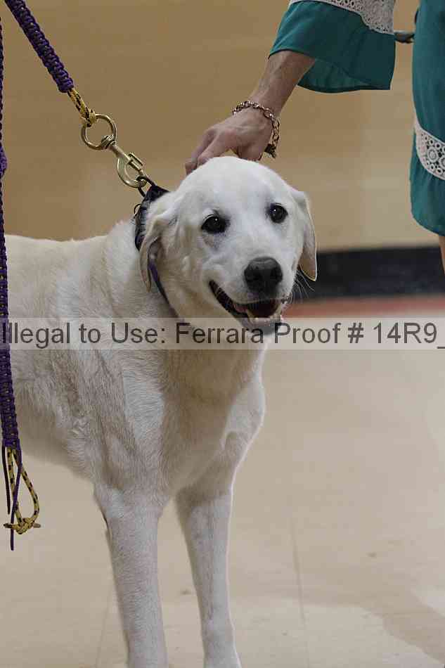 Proof 14r9_5680