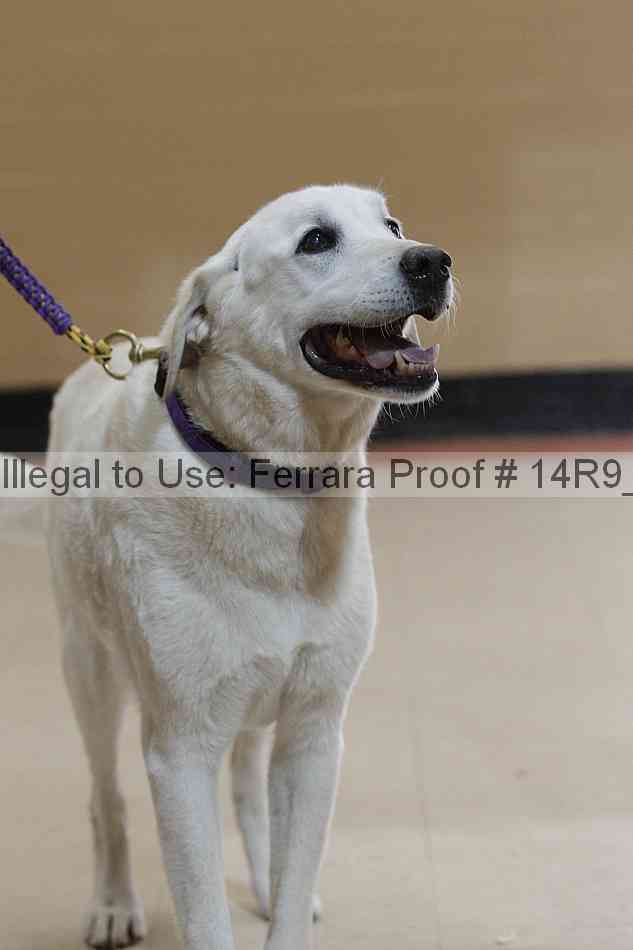 Proof 14r9_5681
