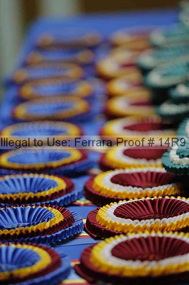 Proof 14r9_6726