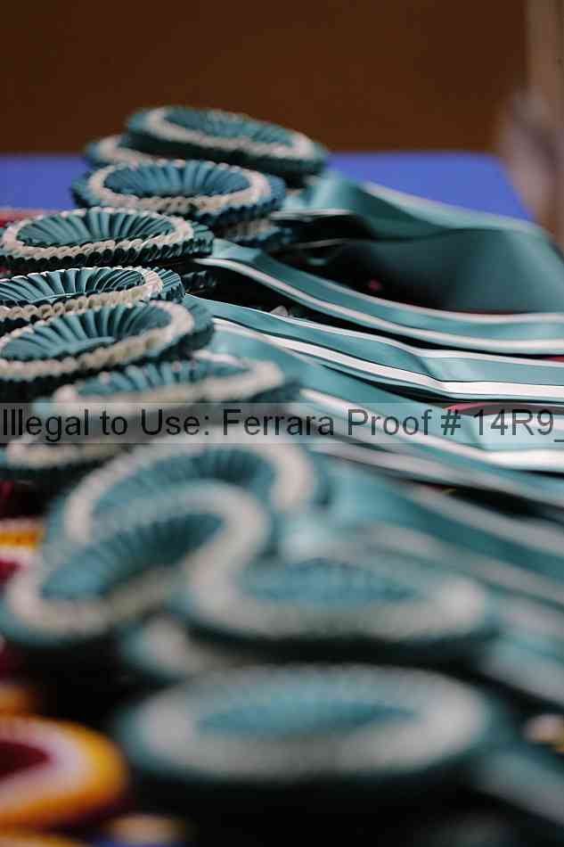 Proof 14r9_6728