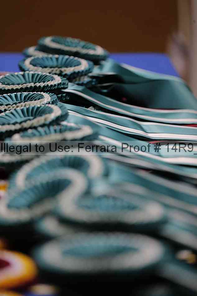 Proof 14r9_6729