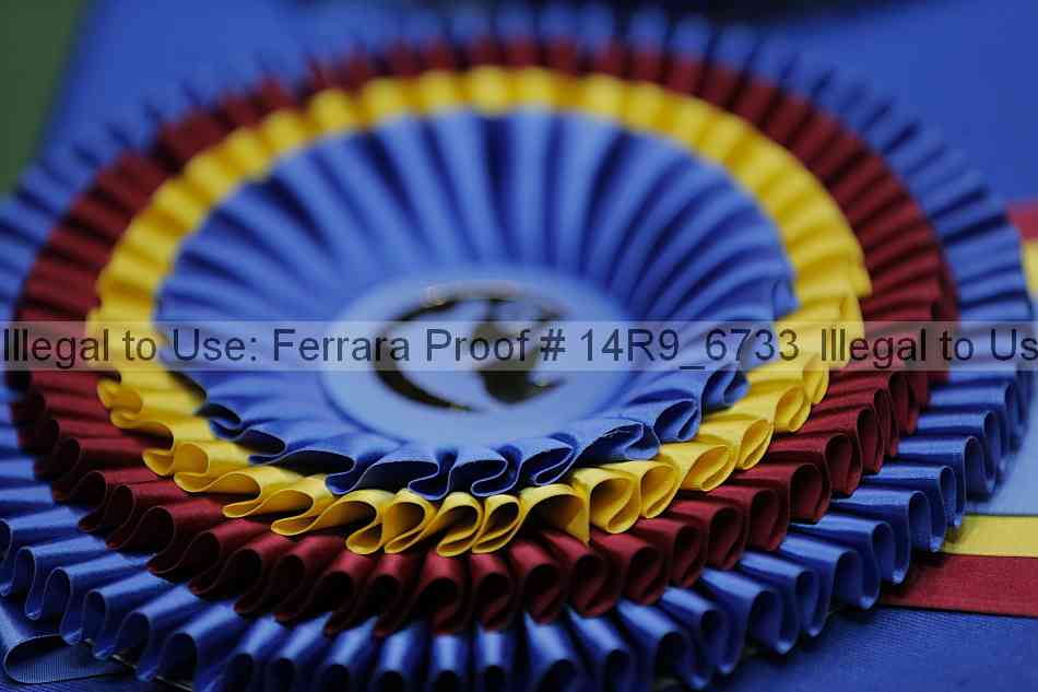 Proof 14r9_6733