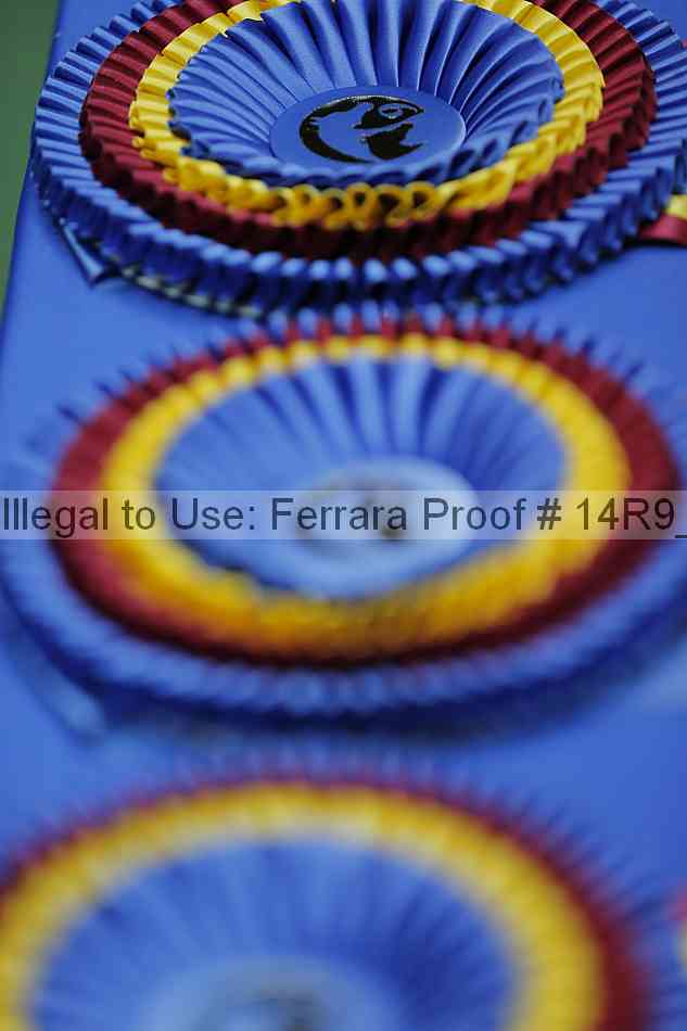 Proof 14r9_6734
