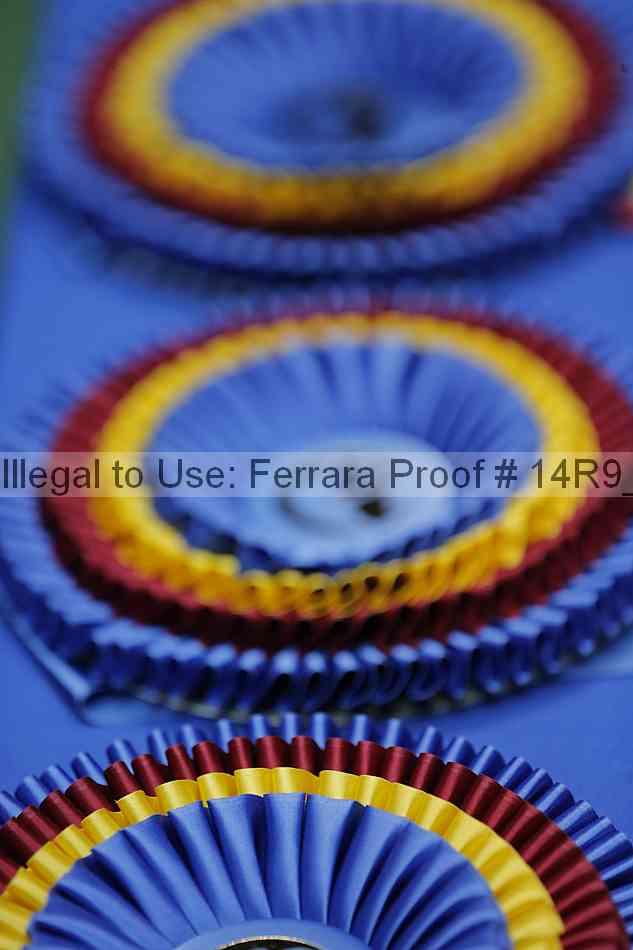 Proof 14r9_6735