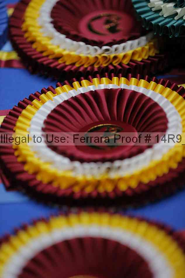 Proof 14r9_6737