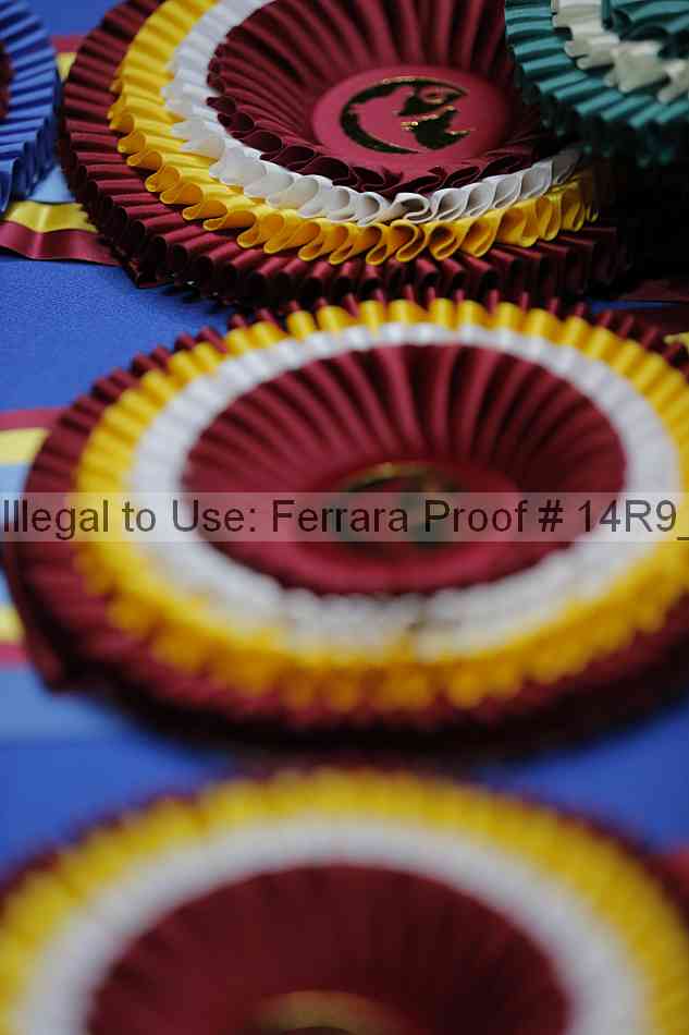 Proof 14r9_6738