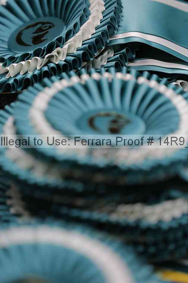 Proof 14r9_6740