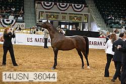 14usn_36044 proof