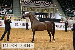 14usn_36046 proof