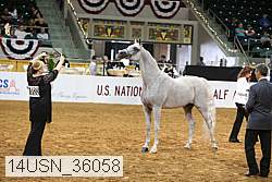 14usn_36058 proof
