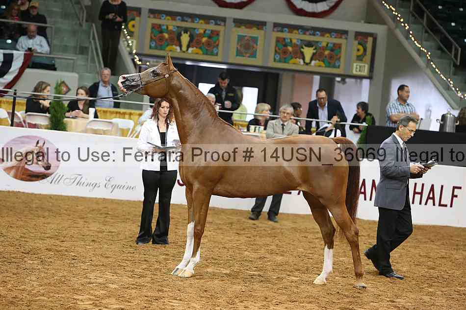 Proof 14usn_36069