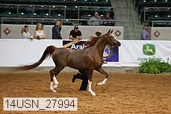 14usn_27994 proof