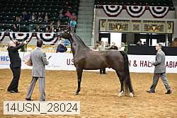 14usn_28024 proof