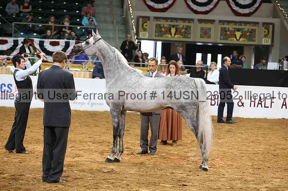 Proof 14usn_28052