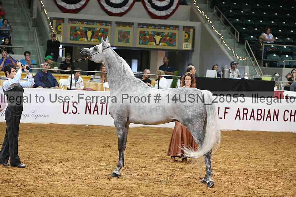 Proof 14usn_28053
