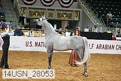14usn_28053 proof