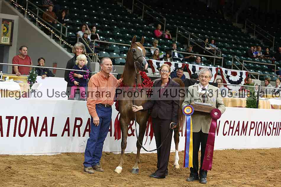 Proof 14usn_28105