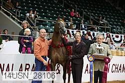 14usn_28106 proof