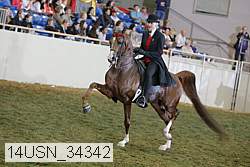 14usn_34342 proof