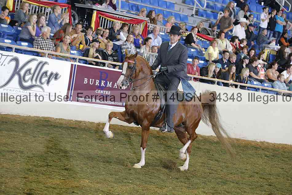 Proof 14usn_34348
