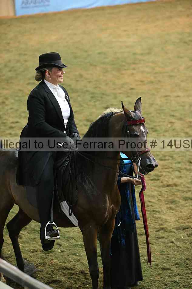 Proof 14usn_34385
