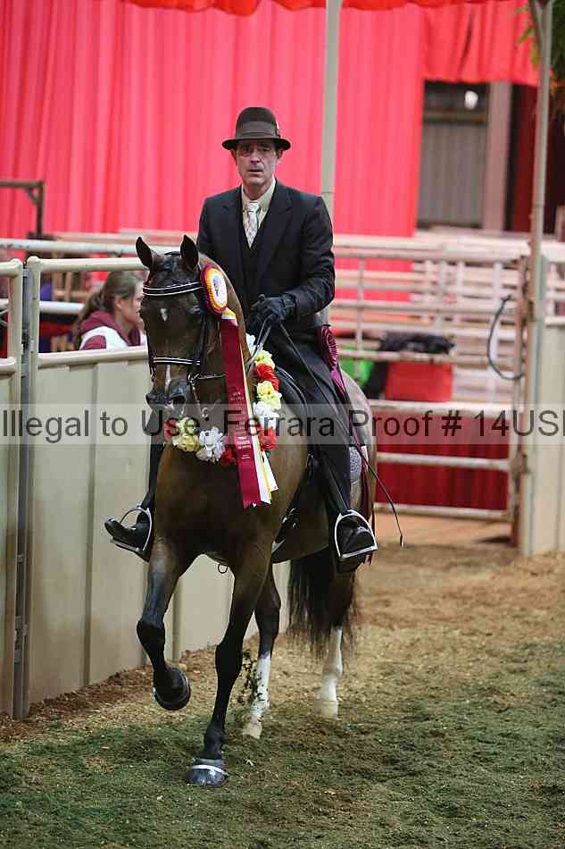 Proof 14usn_34409