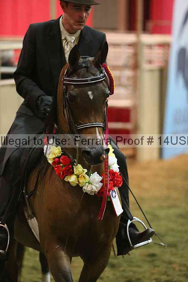 Proof 14usn_34412