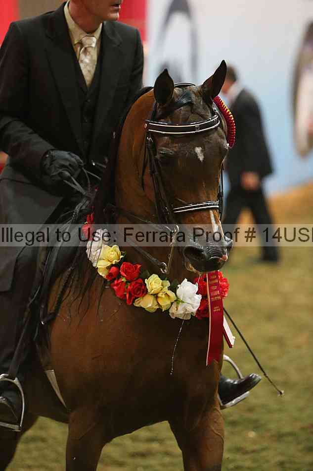 Proof 14usn_34413