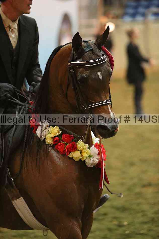 Proof 14usn_34414