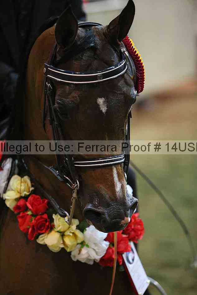 Proof 14usn_34416