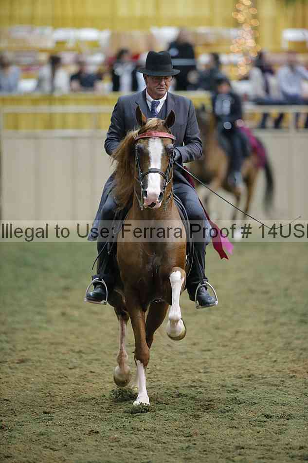 Proof 14usn_34451