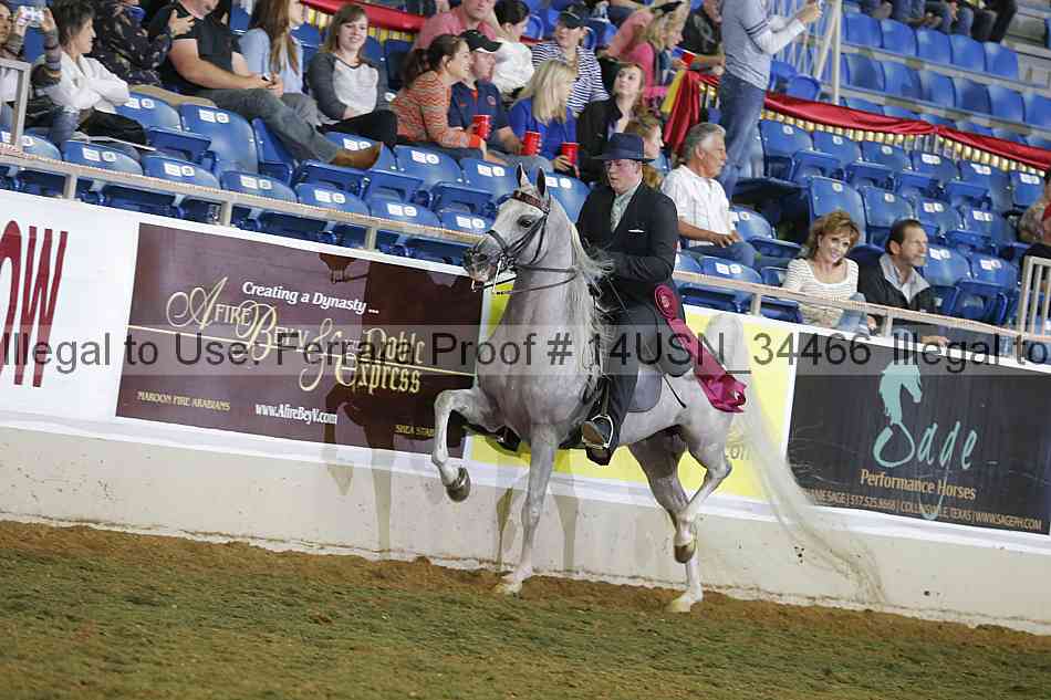 Proof 14usn_34466