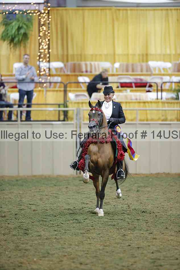 Proof 14usn_34474