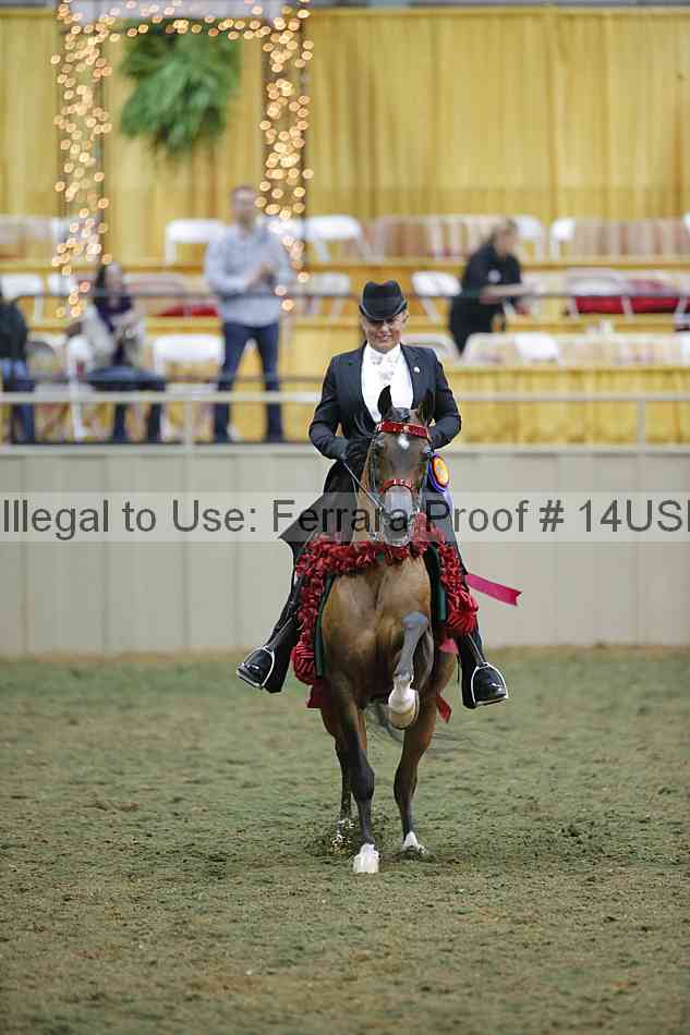 Proof 14usn_34475