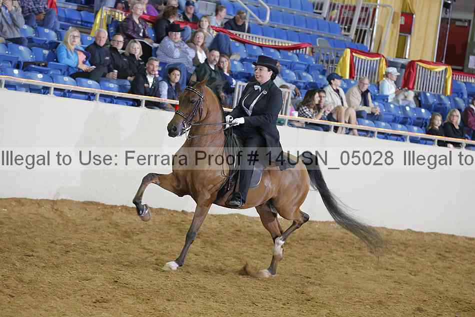 Proof 14usn_05028