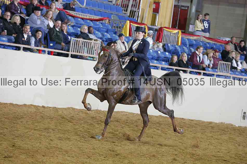 Proof 14usn_05035