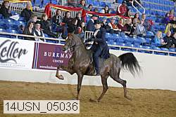 14usn_05036 proof