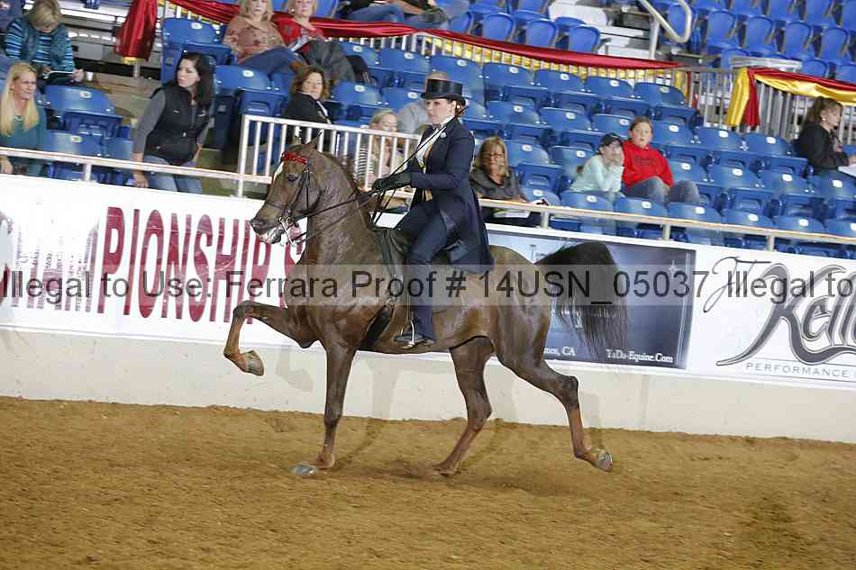 Proof 14usn_05037