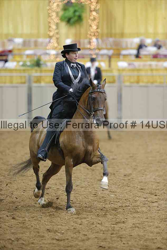 Proof 14usn_05038