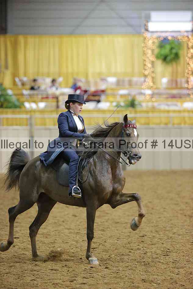 Proof 14usn_05042
