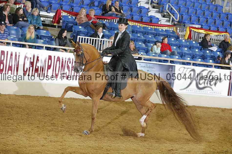 Proof 14usn_05044