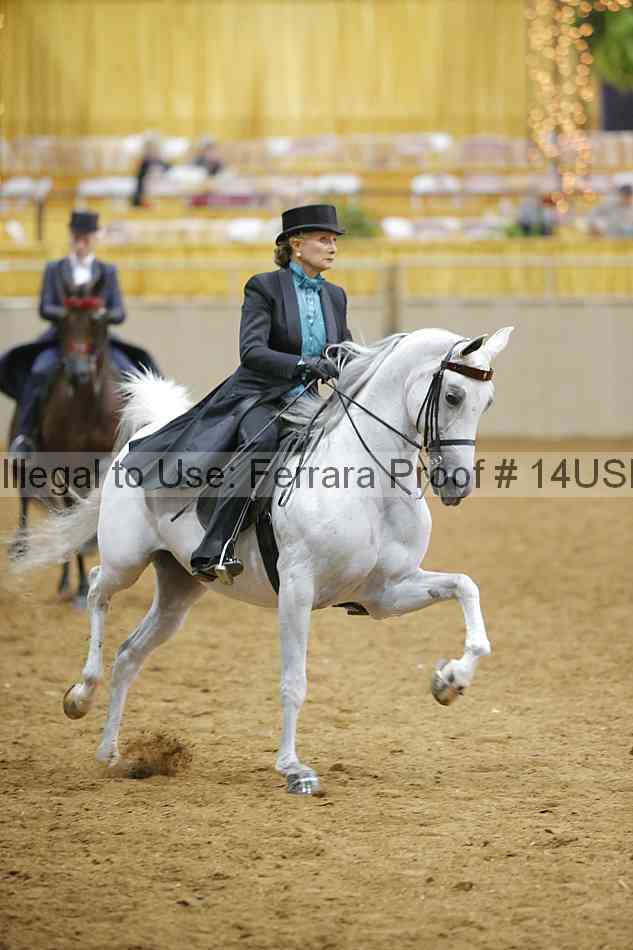Proof 14usn_05045